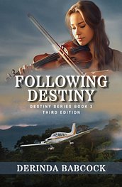 RGB300_FollowingDestiny3rd